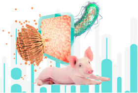 Endotoxinas e micotoxinas