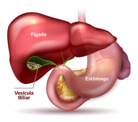 vesiculaBiliar