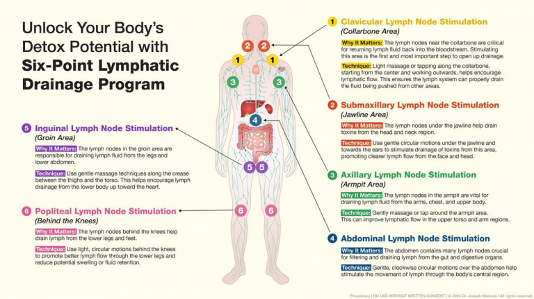 sistema linfático dicas