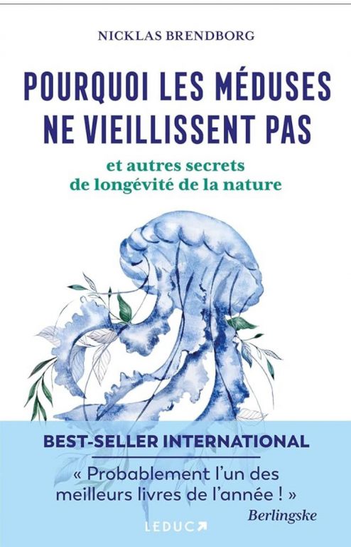 As águas Vivas Envelhecem ao Contrário