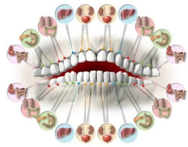 Odontologia Biológica