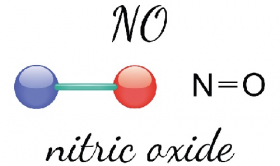 Óxido Nítrico