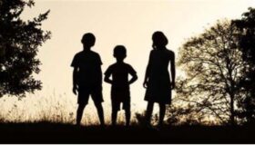 Problemas de Saúde Crônicos