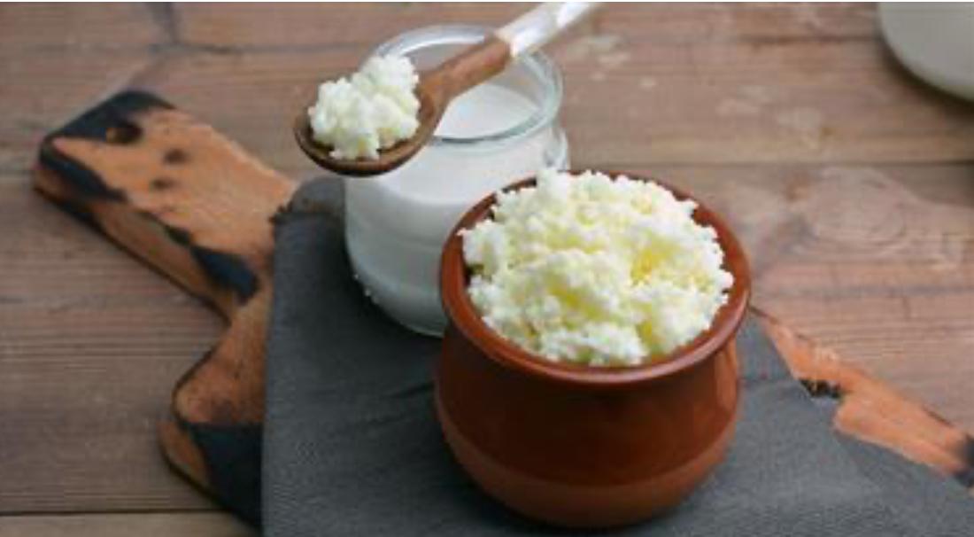 kefir