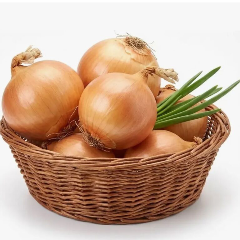 cebola